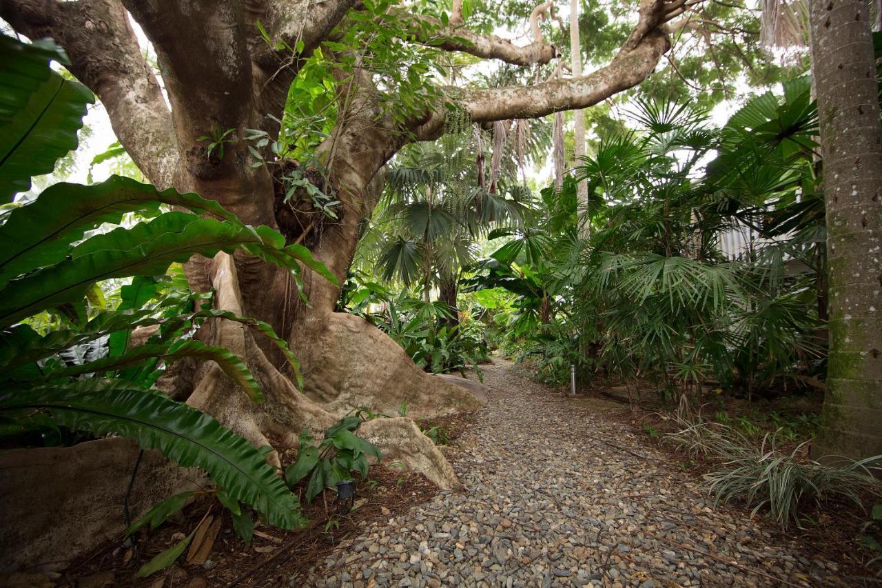 Rainforest Castaways Resort And Spa Mission Beach Exterior foto